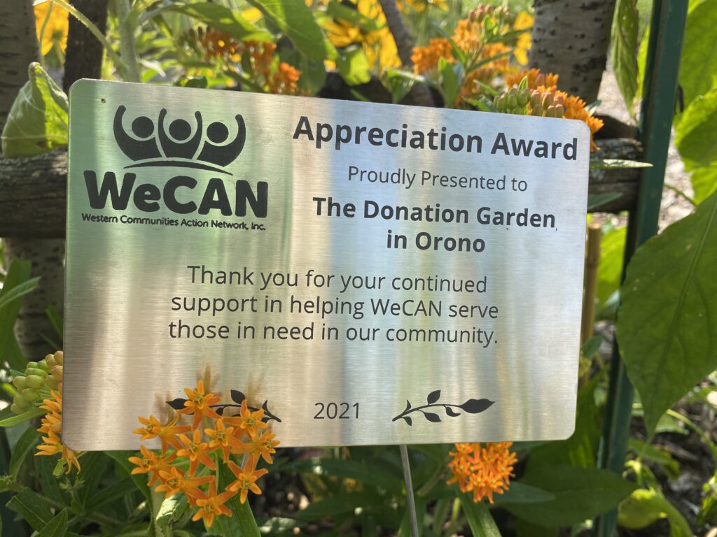 WeCan Appreciation Award 2021